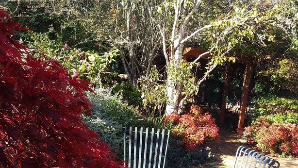 Un jardin agrémenté de chaises et de tables en métal, entouré de différentes plantes et d’arbres.