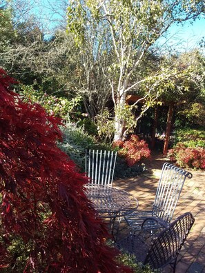 Terrace/patio - Comfortable compact suite of rooms with its own private entrance. (Woodend)