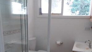 Une salle de bain avec une douche à parois de verre, une baignoire, des toilettes et un lavabo.