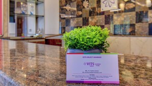 Zona de recepción con una planta en maceta, un cuadro enmarcado y un cartel con información del hotel.