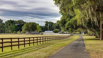Área da propriedade