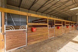 Property grounds - Charming farm with 2 homes, horse stables and heated pool ~ 5+ bedrooms near WEC (Citra)