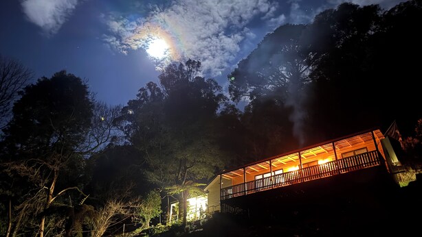 A cabin with a balcony overlooking a forested area, illuminated by ambient lighting. - Cosy Mountain retreat in a historic old gold mining town (Walhalla)