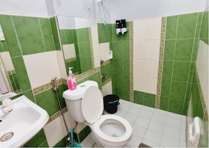 Serviettes fournies, savon, papier de toilette