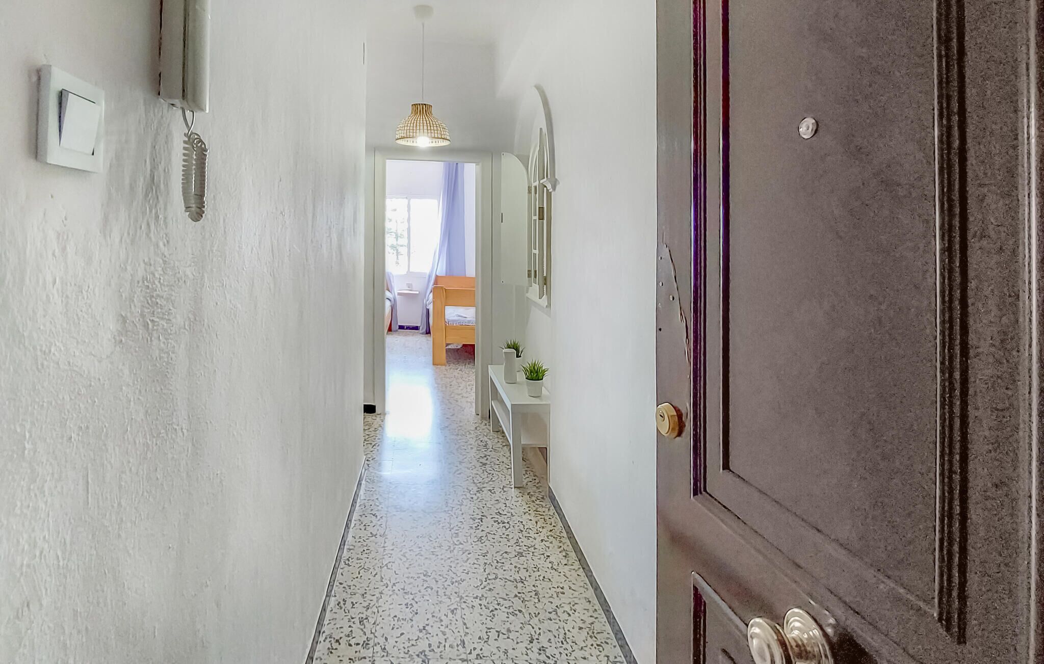 A hallway with a wooden door, a light fixture, and a small table with plants.