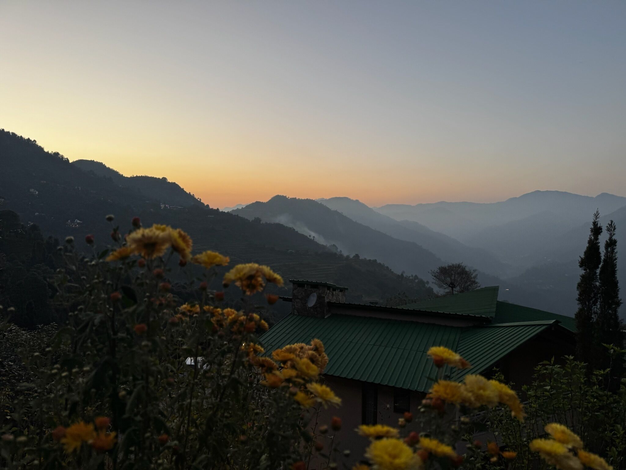 A rural landscape with a house featuring a green roof, surrounded by mountains and flowering plants.