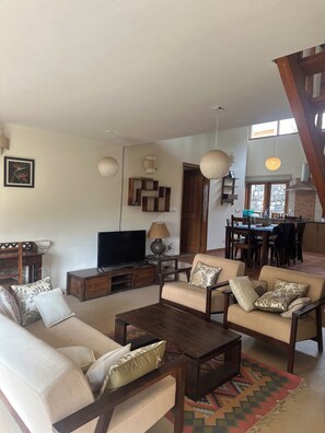 31-吋平面電視、數位頻道、電視、串流服務