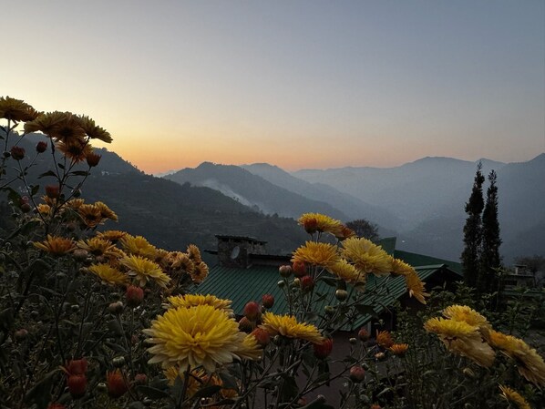 Un paisaje montañoso con vista a un edificio tradicional de techo verde, rodeado de flores amarillas.