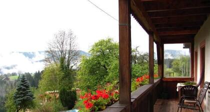 Ferienwohnung Panoramablick" mit Bergblick, Gemeinschaftsterrasse und WLAN