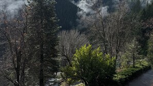A mountainous landscape with a forested area and a path.