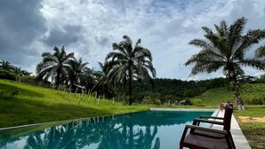 A swimming pool with lounge chairs, surrounded by palm trees and a grassy area under a cloudy sky. - Talula Hill Farm Resort  (Kluang)