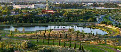 A park with a lake, walking paths, and playgrounds.