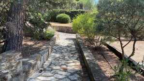 Ein gepflasterter Weg schlängelt sich durch einen Garten mit verschiedenen Bäumen und Sträuchern.
