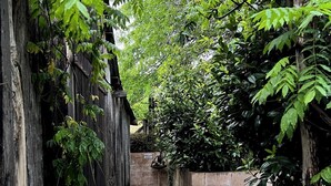 Un étroit sentier en bois, bordé d’une végétation luxuriante et d’un mur de pierre, mène à un bâtiment rustique.