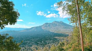 Zelt | Ausblick vom Zimmer