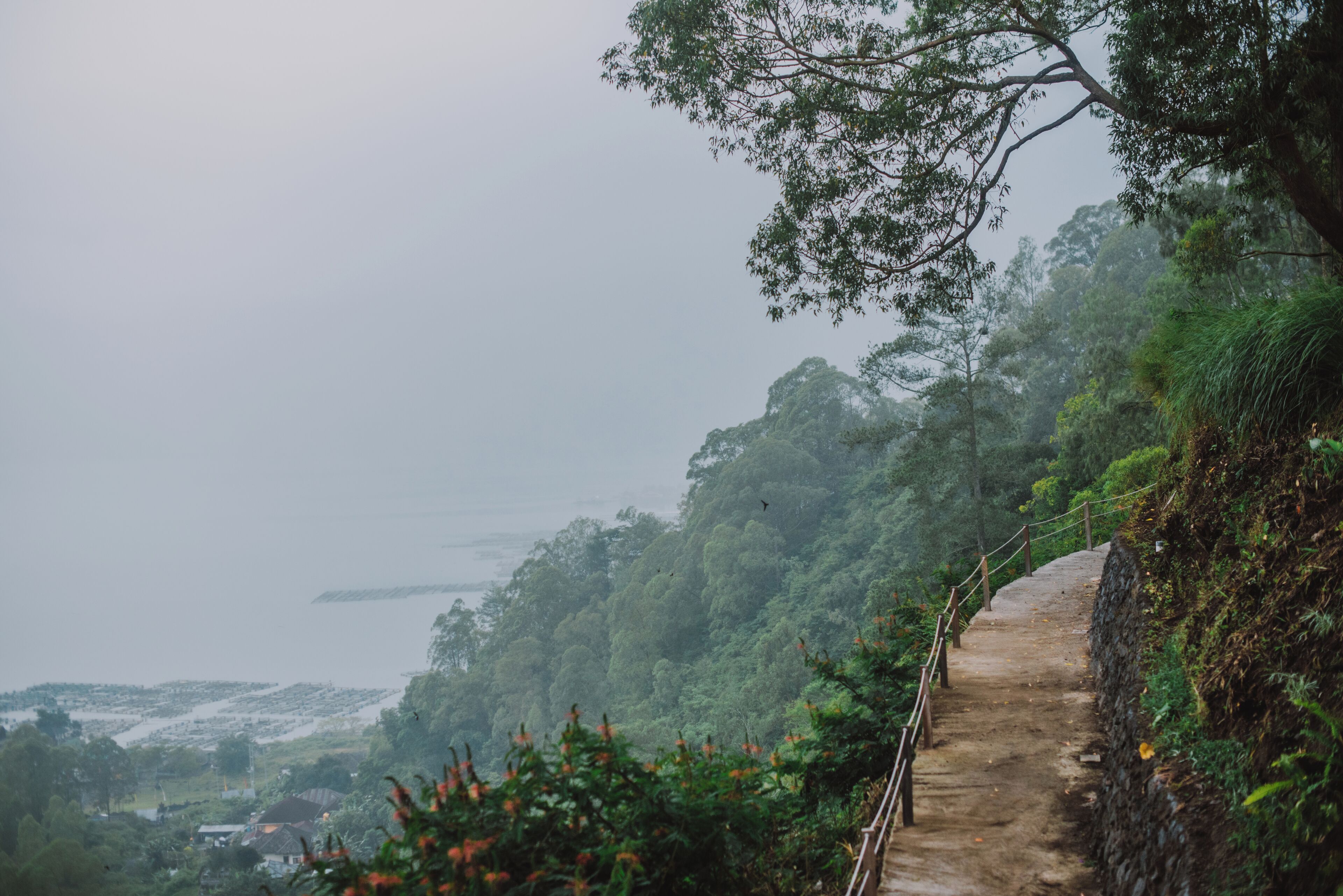A dirt path with a wooden railing, surrounded by dense greenery and trees.