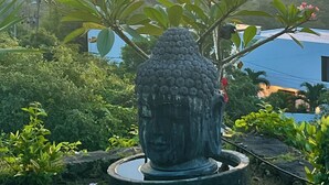 A Buddha statue surrounded by greenery, overlooking a coastal landscape with a sunset.