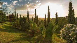 Property grounds - Lovely apartment for 6 guests with pool, WIFI, veranda and panoramic view, close to San Gimignano (Montaione)
