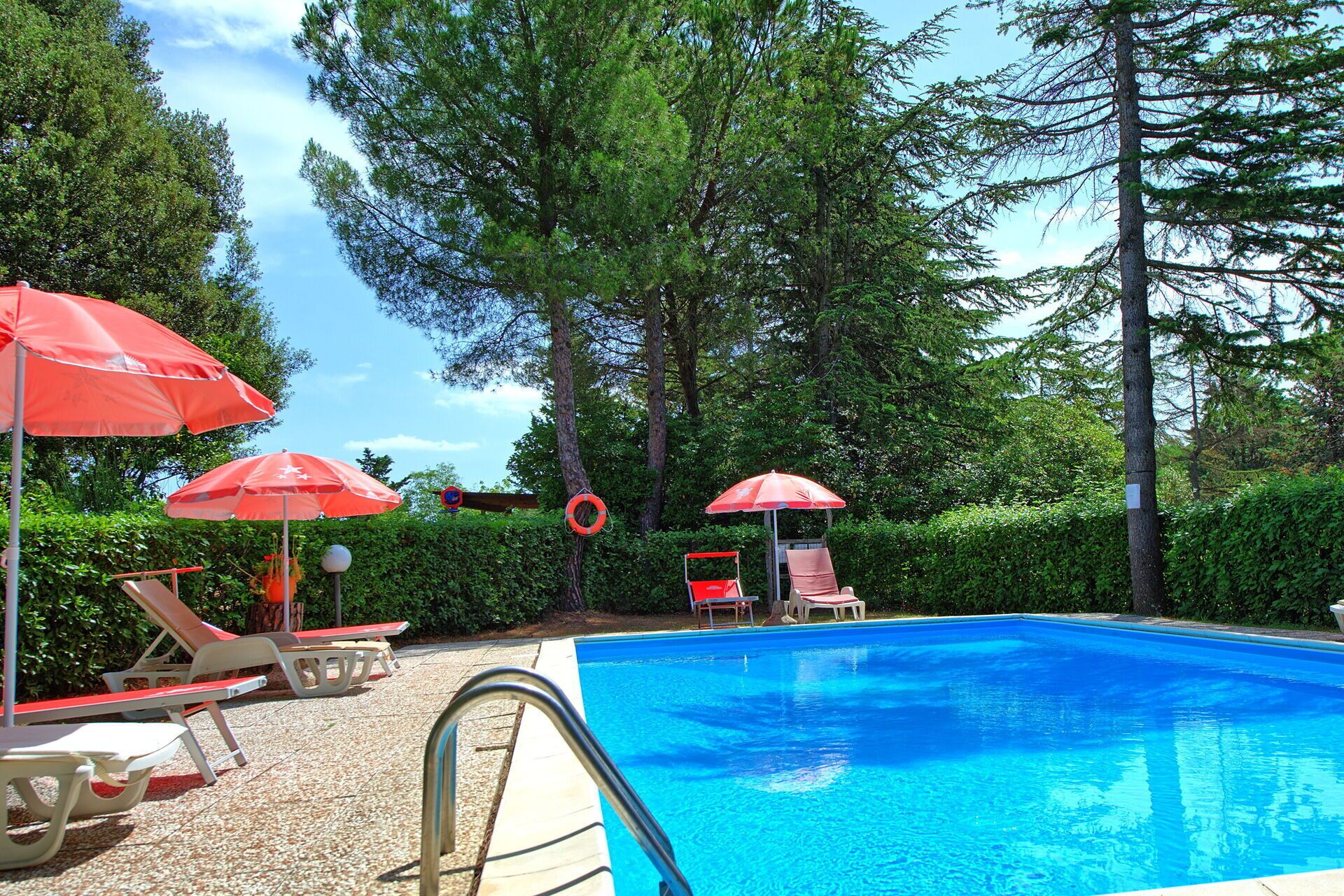 Garden, Outdoor, Pool