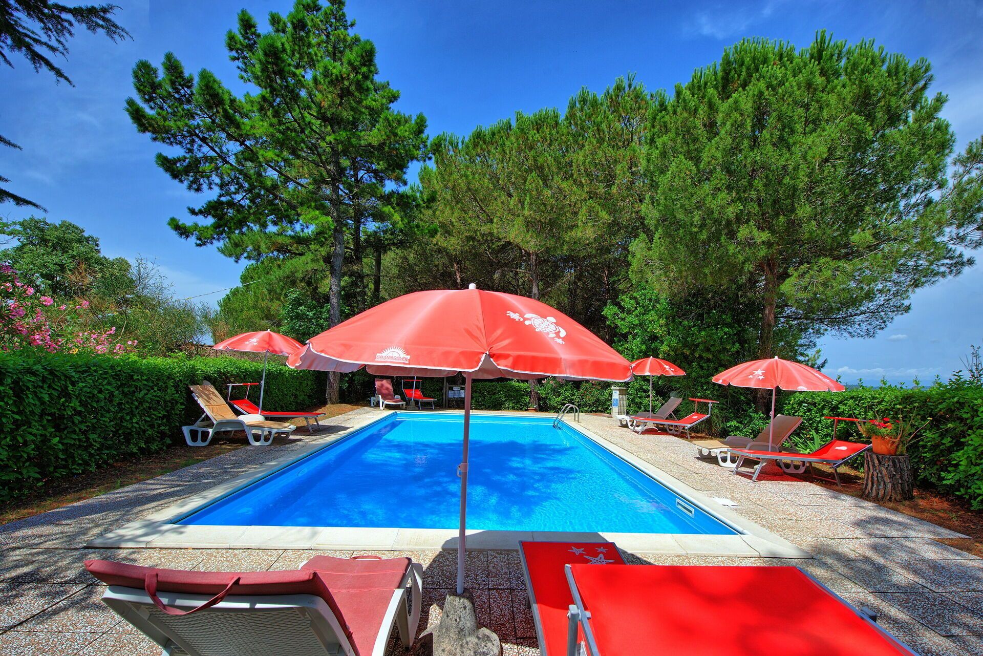 Garden, Outdoor, Pool
