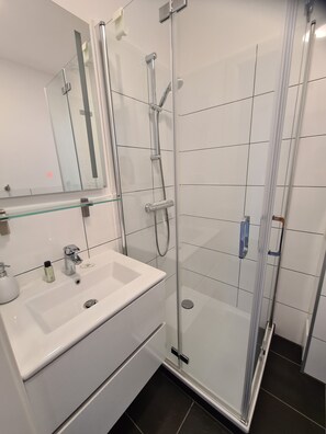 Shower, hair dryer, toilet paper