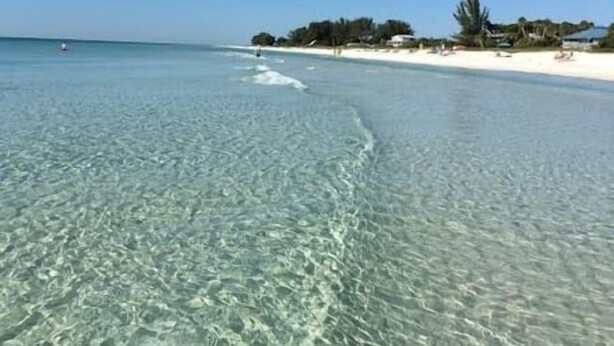 Ein Strand mit klarem, flachen Wasser, einem sandigen Ufer und einigen Gebäuden im Hintergrund.