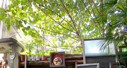 Time Tree House