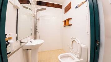 A bathroom with a white sink, a toilet, a shower, and a mirror.