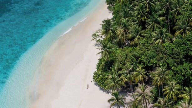 A beach with clear turquoise waters and dense palm trees. - Fasdheythere Inn (Kendhoo)