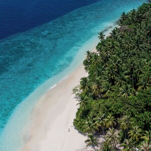 Una playa con agua turquesa cristalina y densas palmeras.