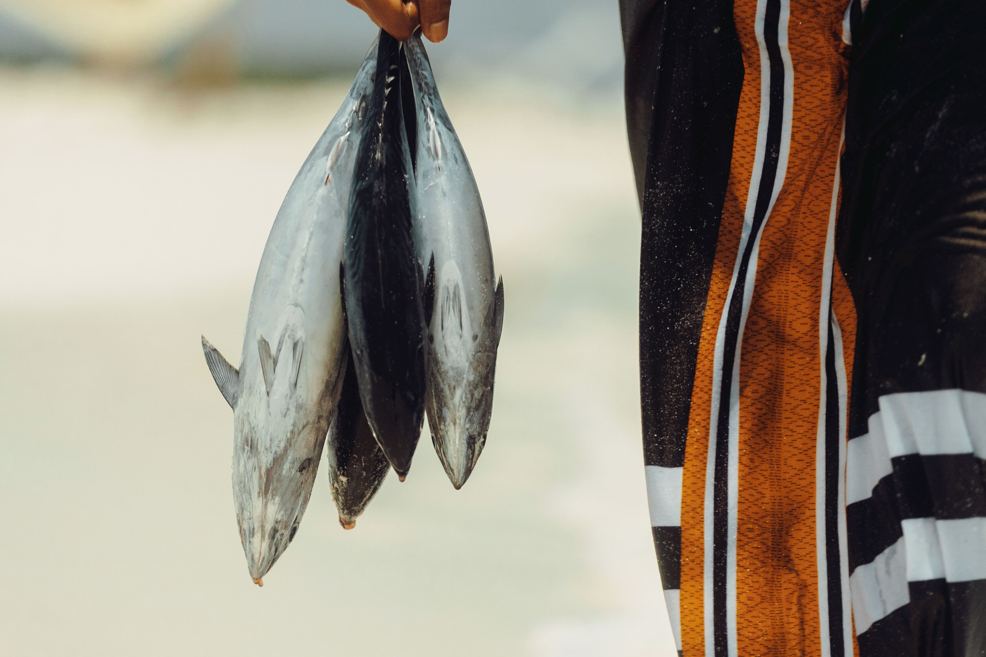 Una persona sosteniendo tres peces.