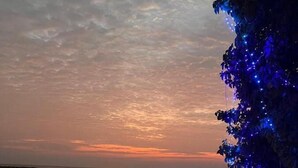 A romantic outdoor dining setup with a table and chairs, surrounded by a circle of candles and rose petals, overlooking a body of water at sunset. - Fasdheythere Inn (Kendhoo)