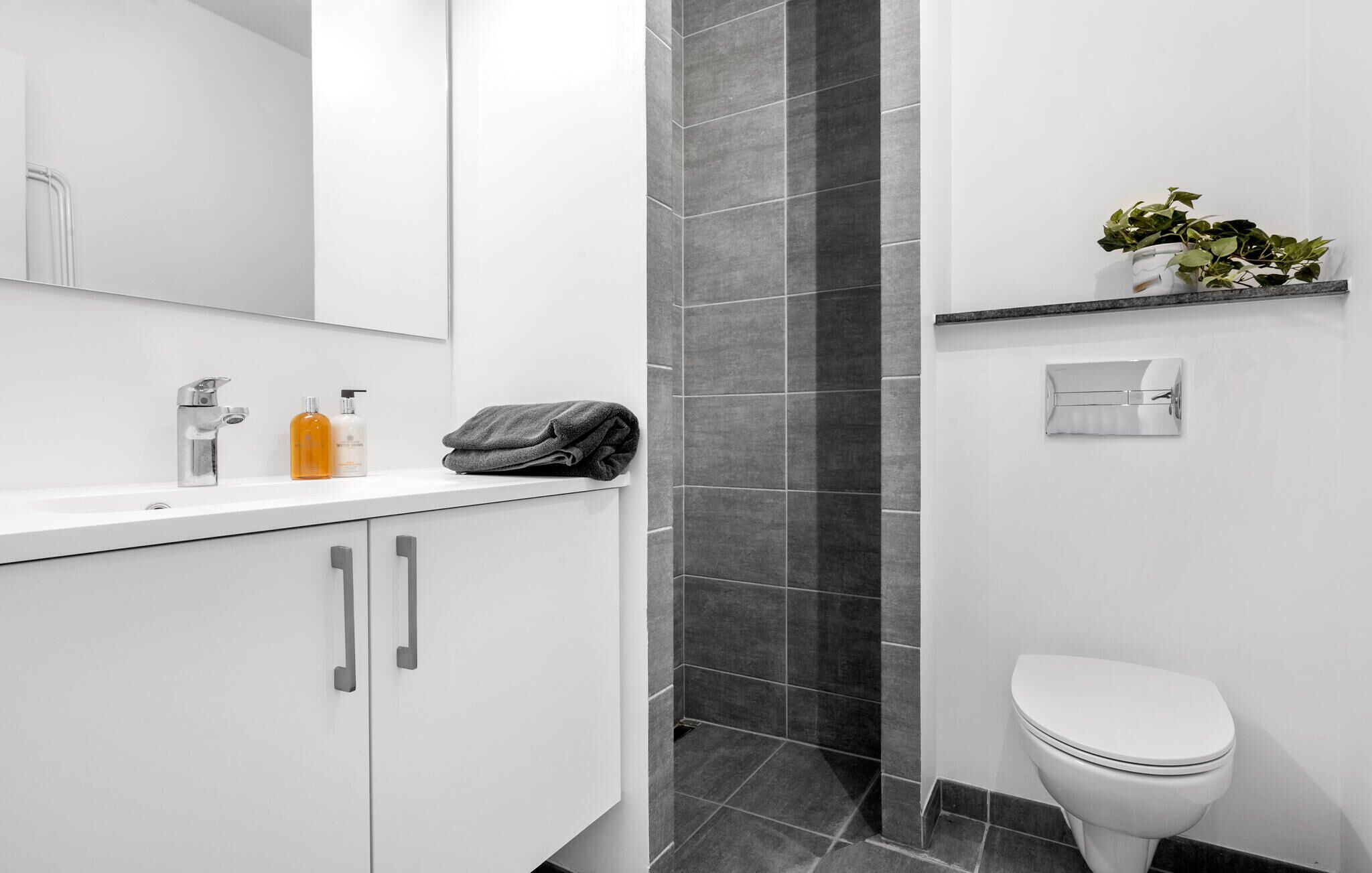 A modern bathroom with a white sink, silver faucet, and two bottles of soap. There is a towel on the counter and a potted plant on a shelf.