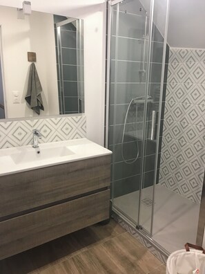 Regadera, secadora de cabello, papel de baño 
