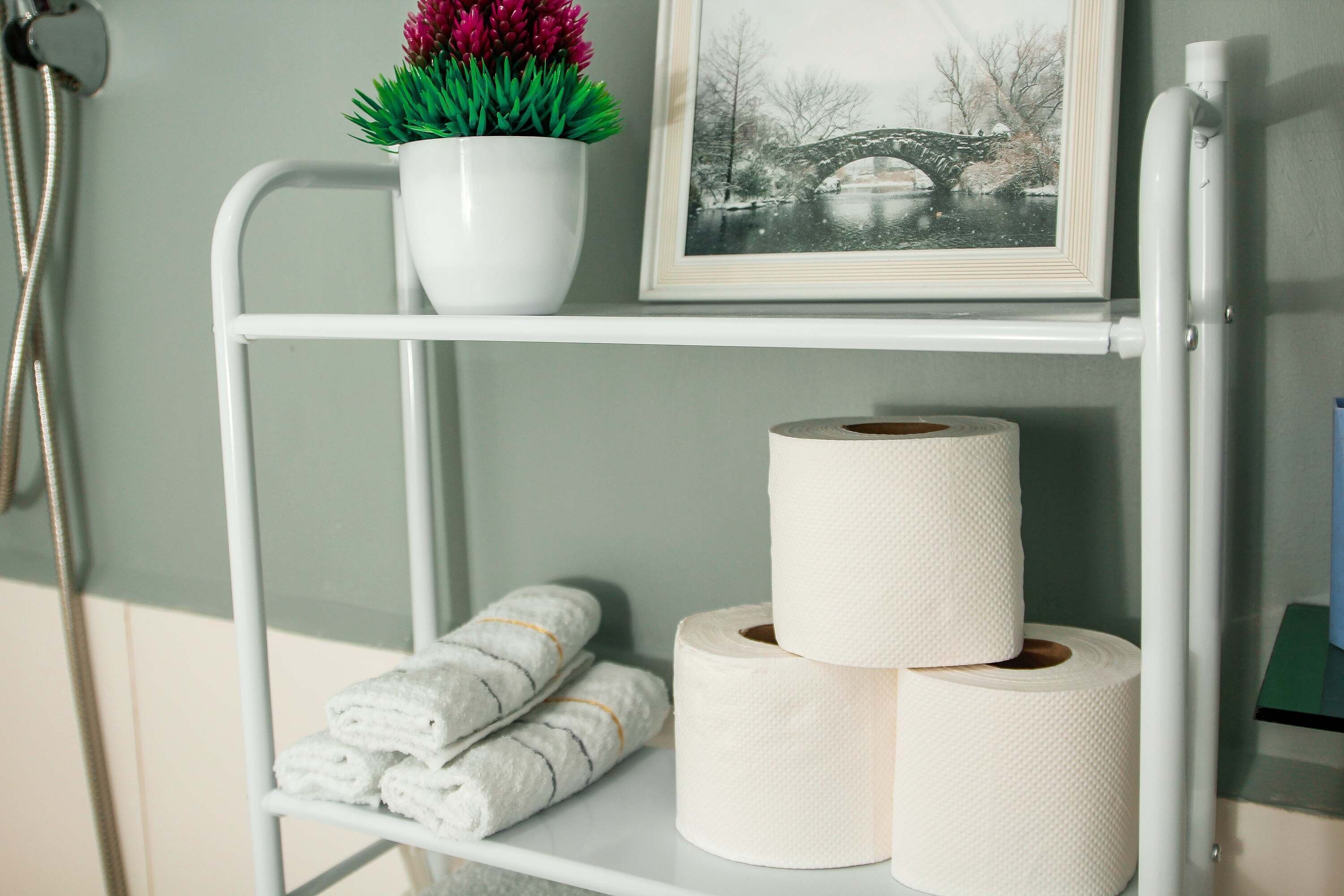 Une étagère de salle de bain avec une plante en pot, un tableau encadré, des serviettes roulées et du papier toilette.