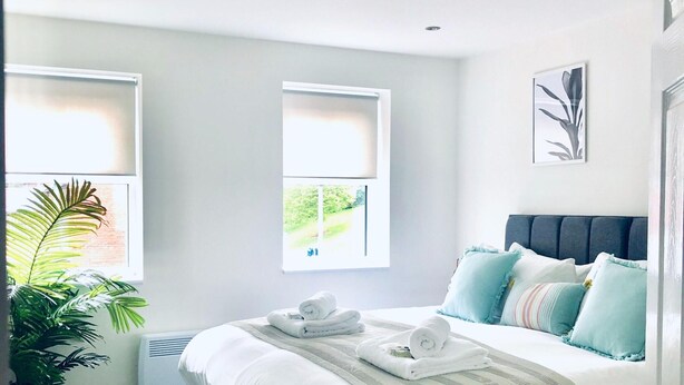 A modern bedroom with a large bed, two windows, a potted plant, and a radiator.