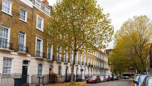 Une rangée de maisons mitoyennes, avec un arbre au milieu de la rue.