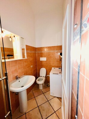 Shower, hair dryer