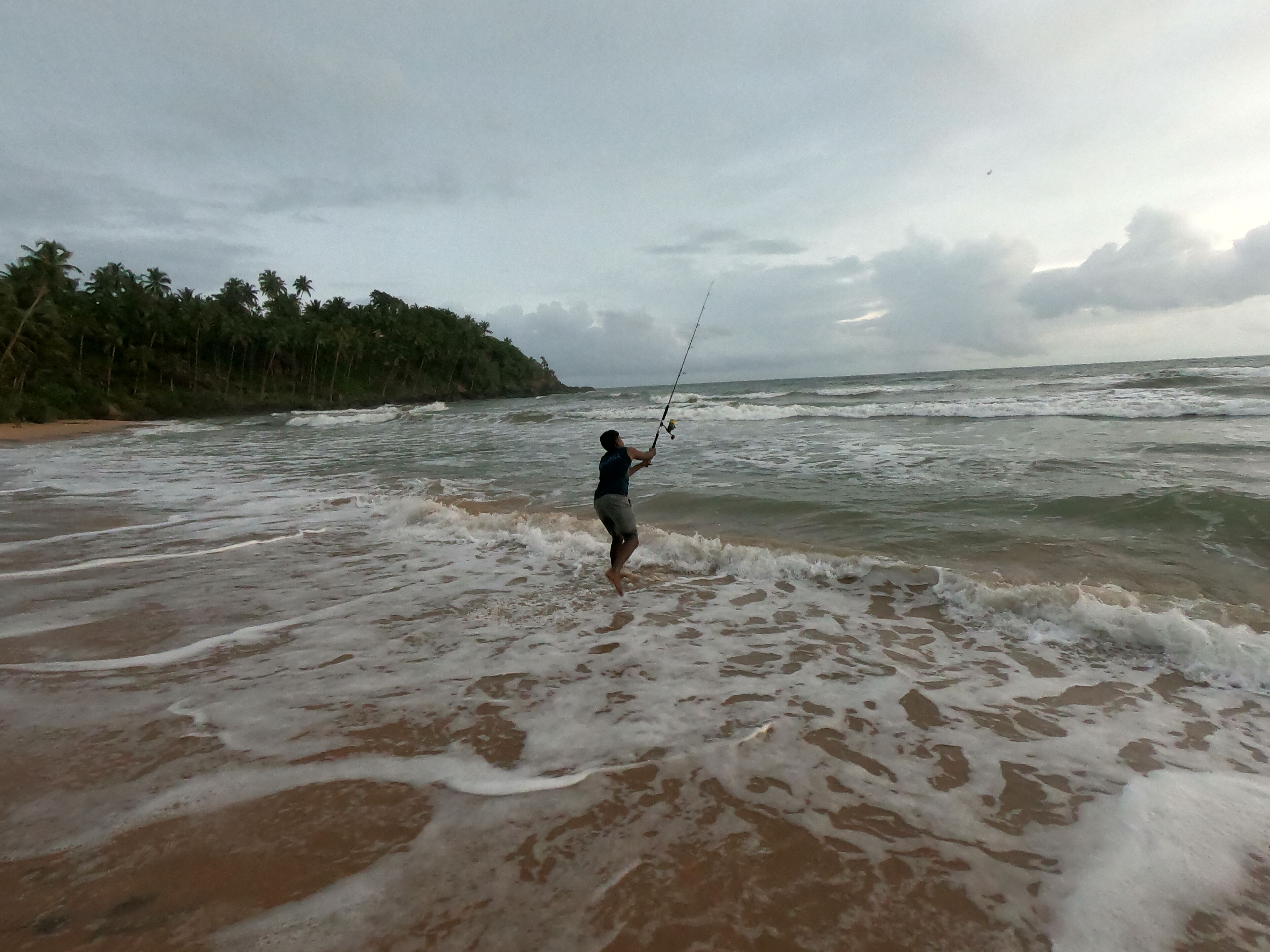 A beach with waves, a person fishing, and a forested area in the background.