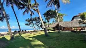 Un complexe hôtelier tropical doté d’un bâtiment à toit de chaume, de palmiers et offrant une vue sur l’océan.