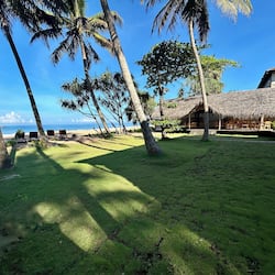 Vue sur la plage/l’océan