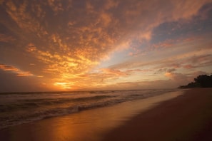 On the beach, white sand, beach shuttle, sun-loungers - Bombay Bicycle Club Bentota (Induruwa)