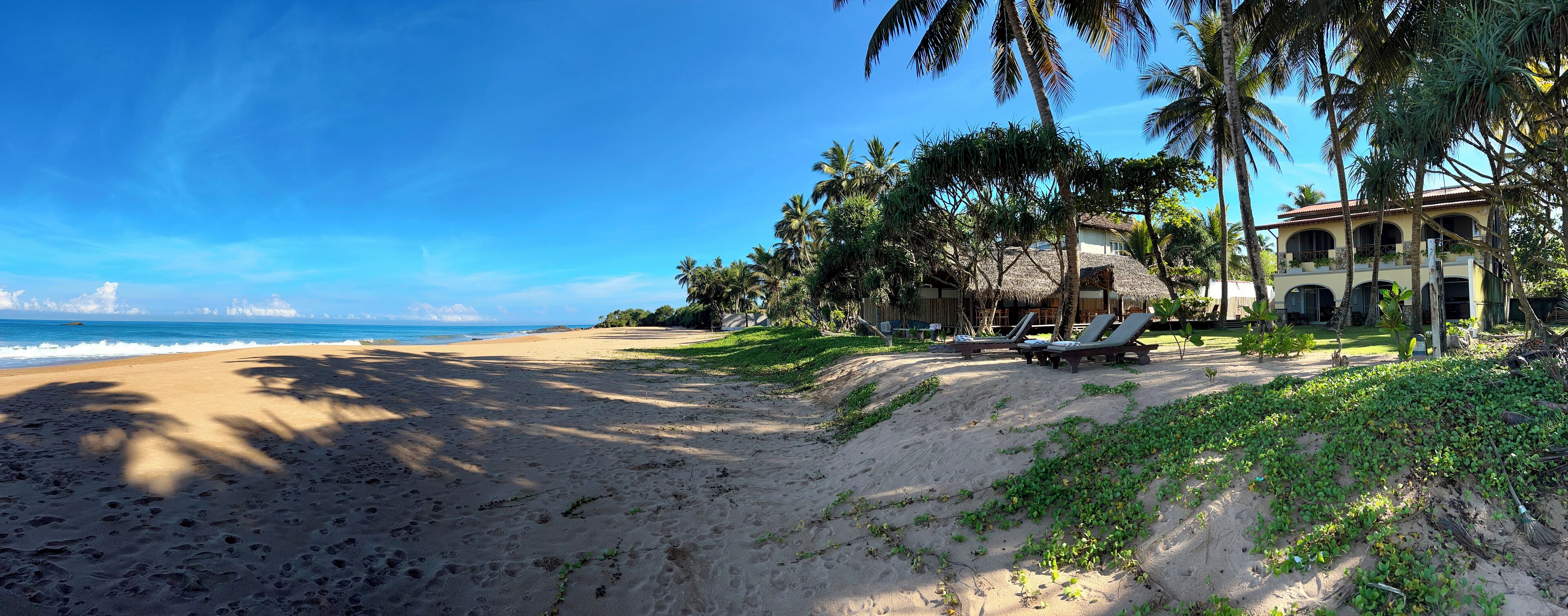 A beach with a thatched-roof building, palm trees, and lounge chairs.