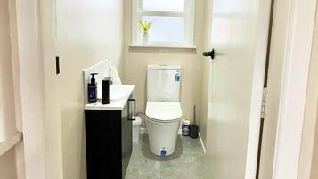 A narrow bathroom with a toilet, sink, and window.