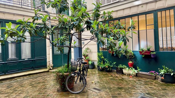 A courtyard with a bicycle, potted plants, and a brick floor. - Charming flat under the roof (Paris)