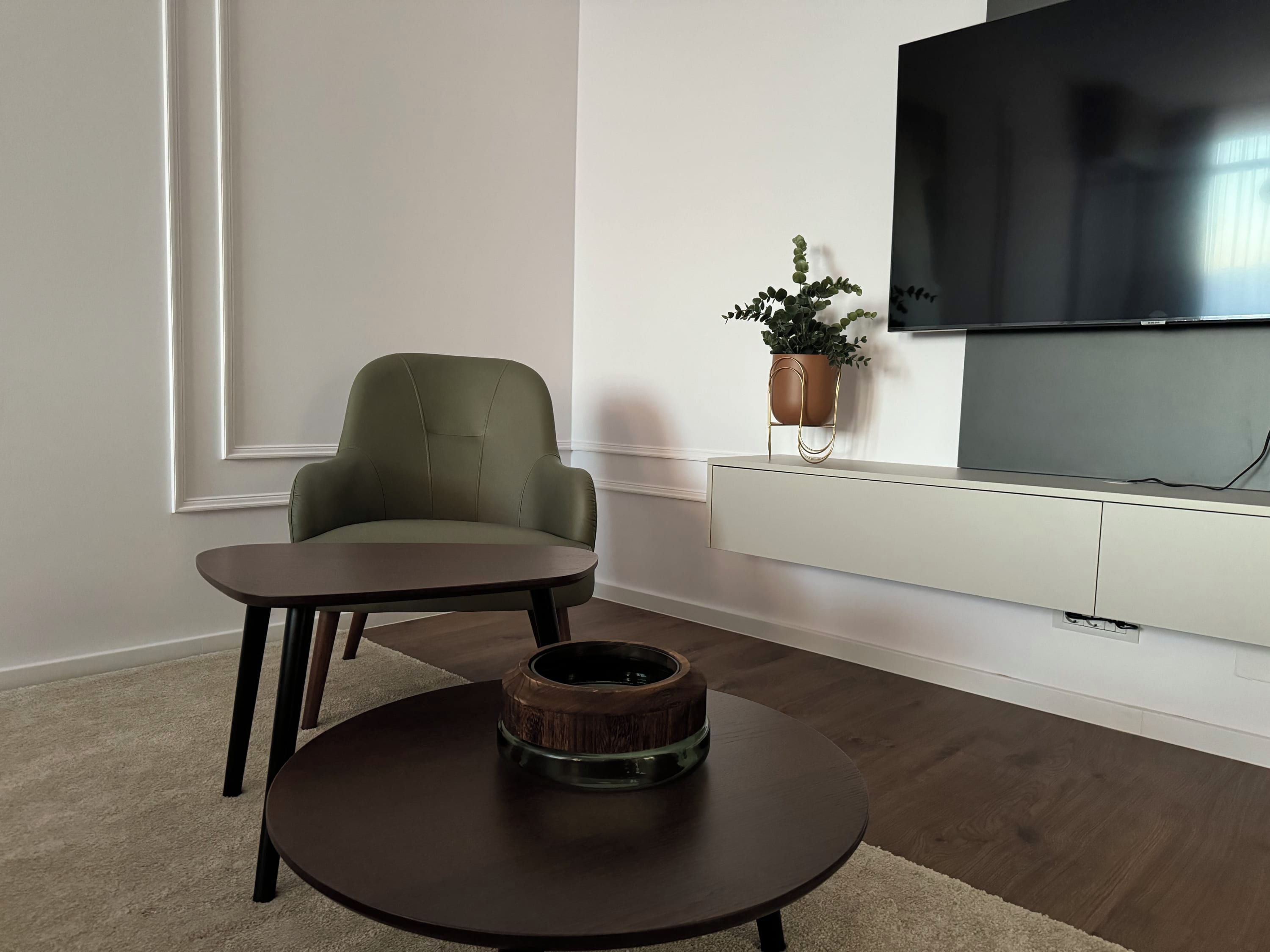 Un salon moderne avec un canapé, une table basse, un téléviseur et une plante.