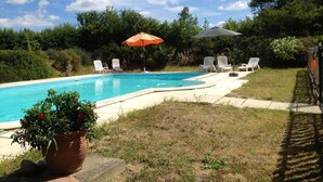 Piscina con sillas de descanso y sombrillas, rodeada de follaje.