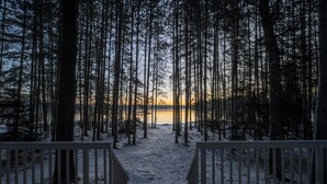 A snowy forest path leading to a body of water, with a wooden fence in the foreground.