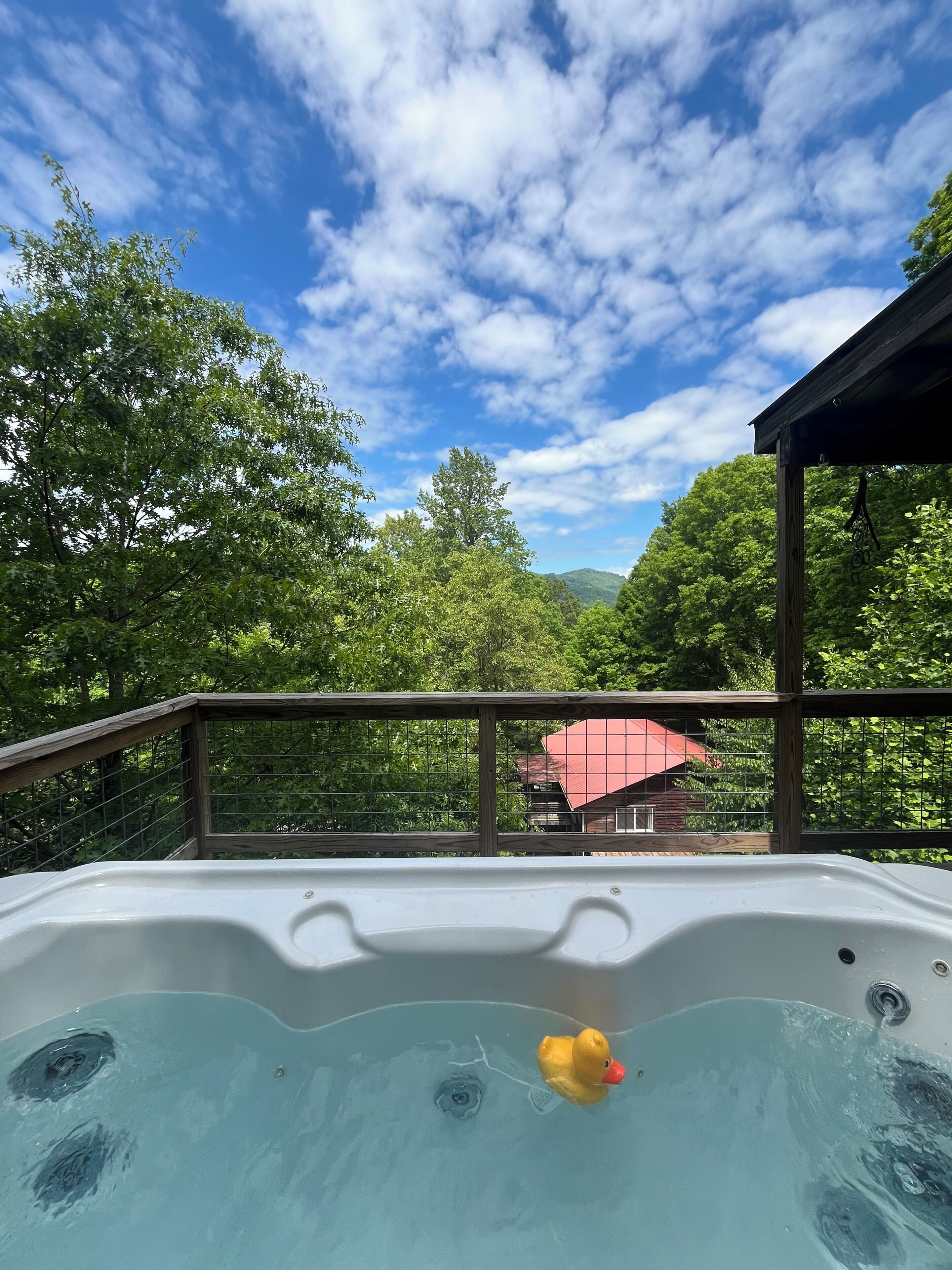 Baignoire à remous extérieure