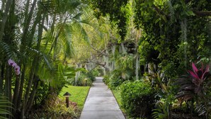 Un sendero de hormigón bordeado de vegetación exuberante y diversas plantas tropicales.
